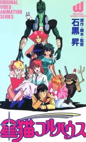 Hoshi Neko Fullhouse