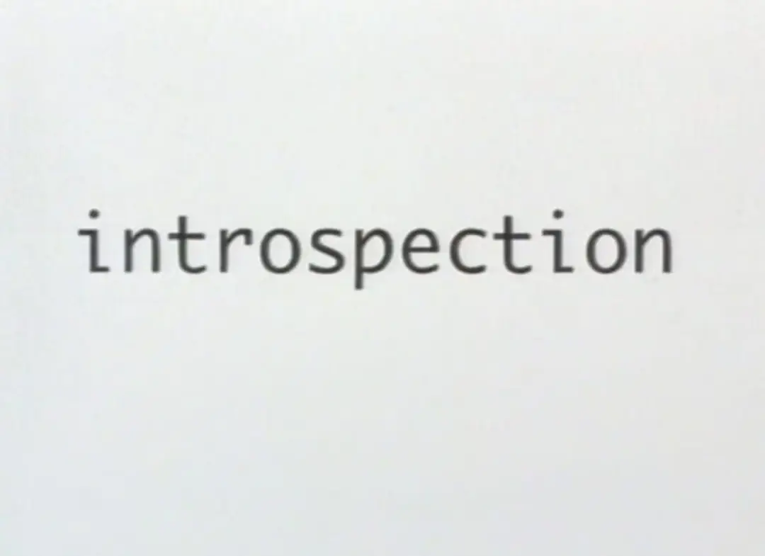 Introspection