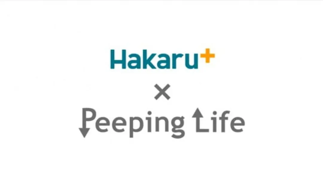 Takemoto Denki x Peeping Life