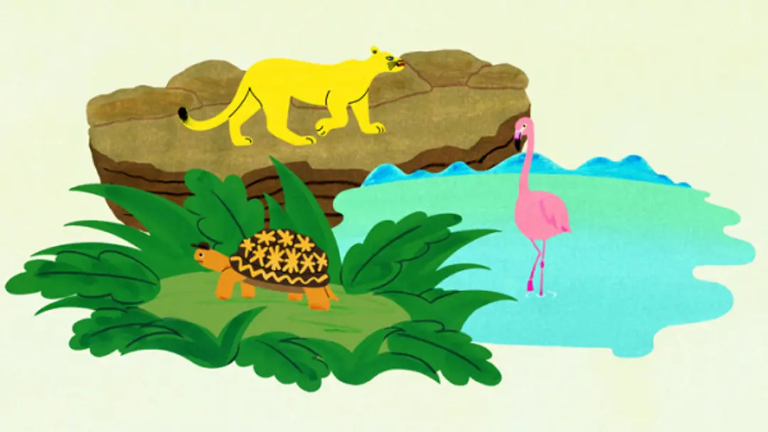 Kame to Puma to Flamingo