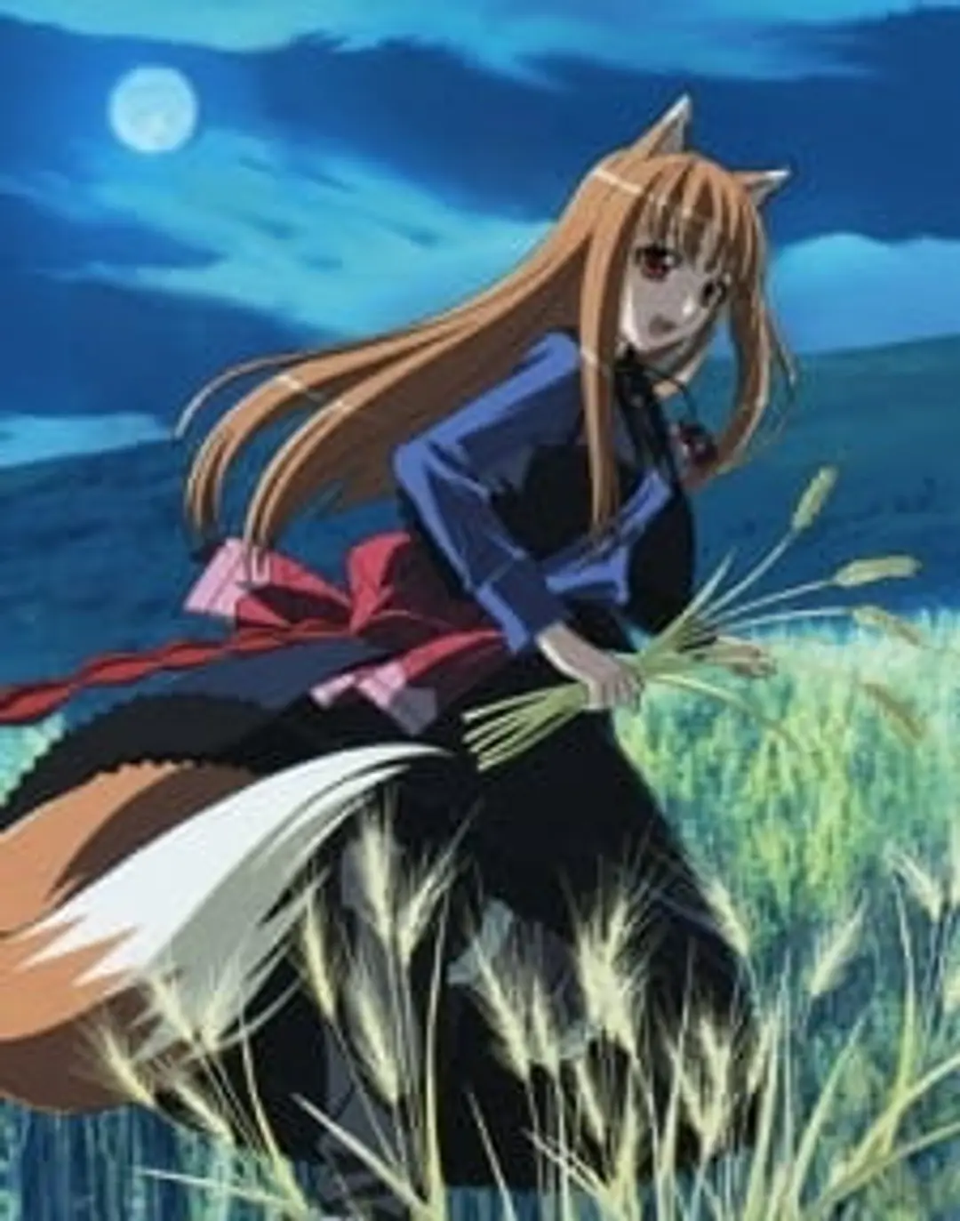 Ookami to Koushinryou II: Ookami to Kohakuiro no Yuuutsu